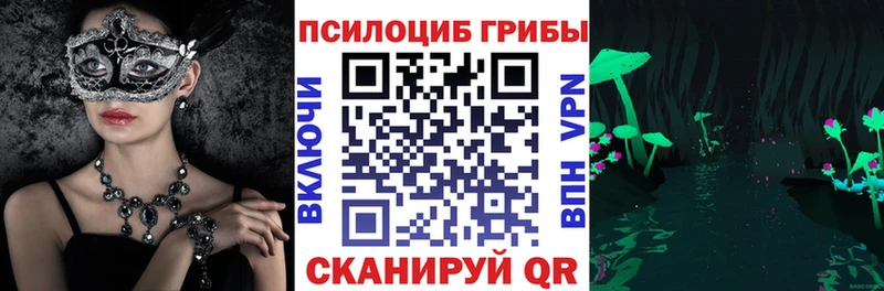 Галлюциногенные грибы Psilocybe  Нестеровская 